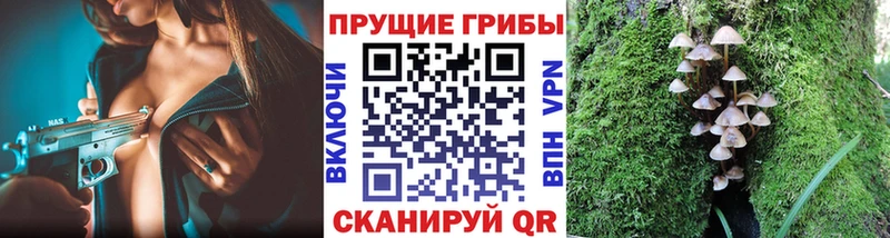 Галлюциногенные грибы мухоморы  даркнет сайт  Алейск 